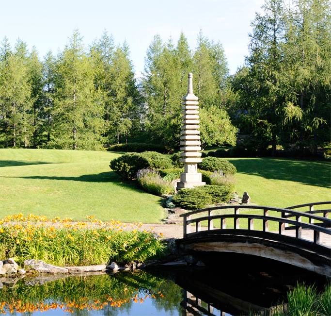 garden with water feature