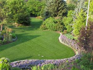 grassy pathway