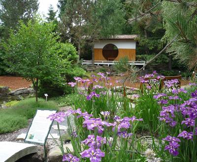 Daniel A. Séguin Garden