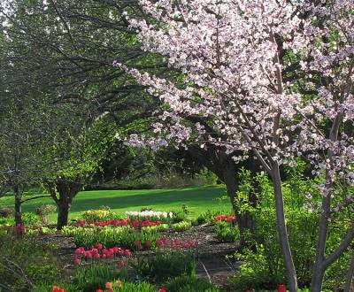 Jardin botanique Roger-Van den Hende