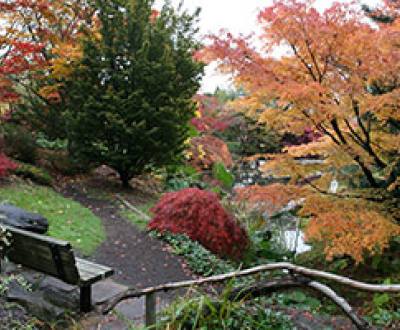 VanDusen Botanical Garden