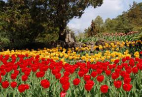 La Route des jardins du Canada